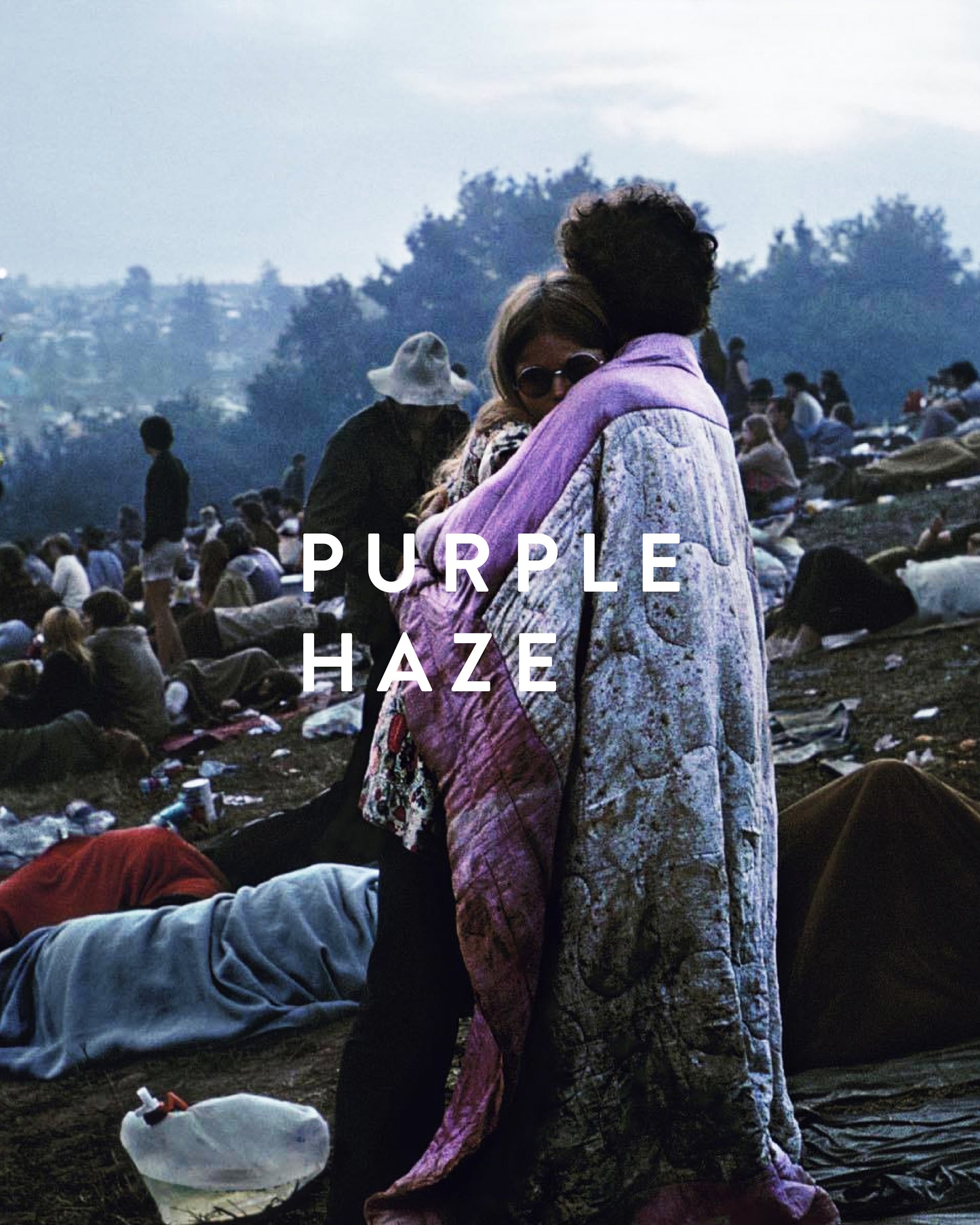 PURPLE HAZE