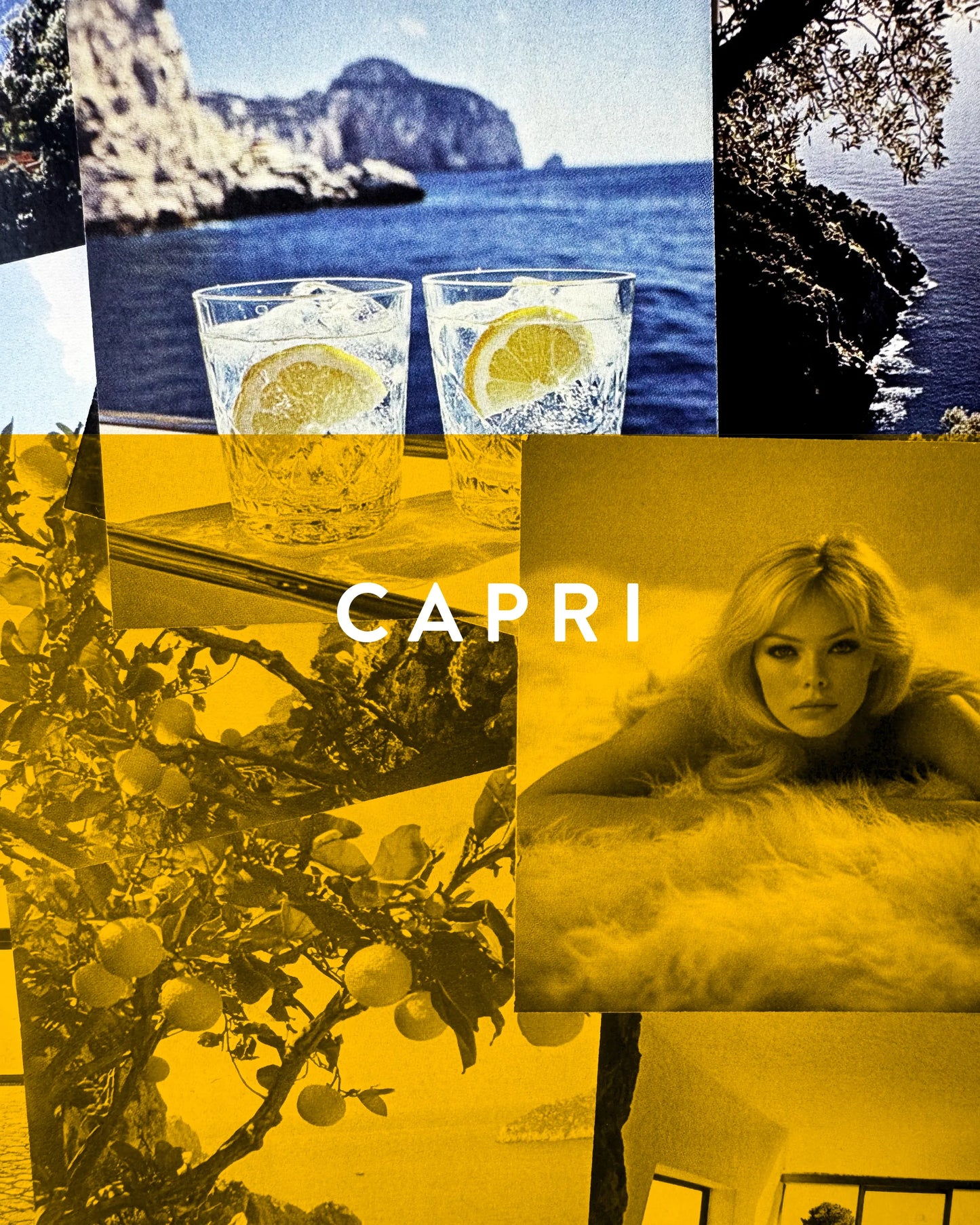 CAPRI