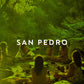 SAN PEDRO