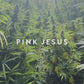 PINK JESUS